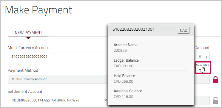 Multi-Currency Account details